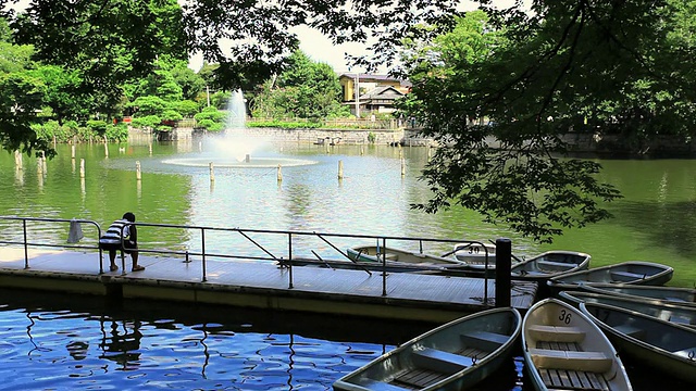 池塘中的MS喷泉/世田谷区，东京，日本视频素材