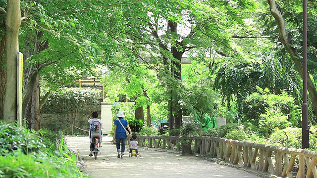 在池塘中漂浮的船只和池塘中的喷泉/世田谷区，东京，日本视频素材