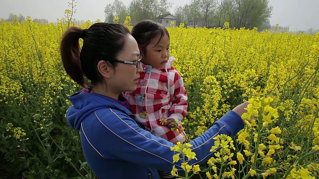 母女俩在油菜黄地里/汉中，陕西，中国视频素材