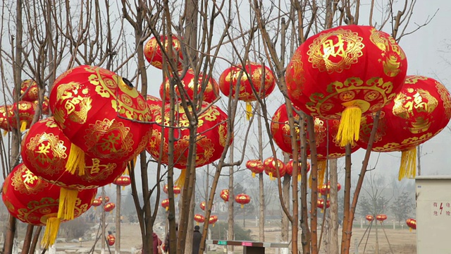 MS Red lights on tree to celebrate Chinese spring festival /中国陕西西安视频素材