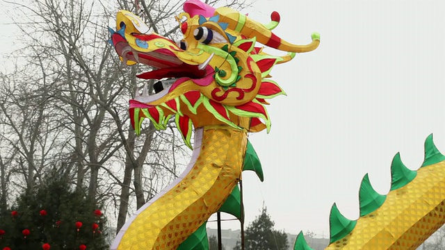 潘佐女士龙形灯笼装饰庆祝小雁塔公园/陕西西安，中国视频素材