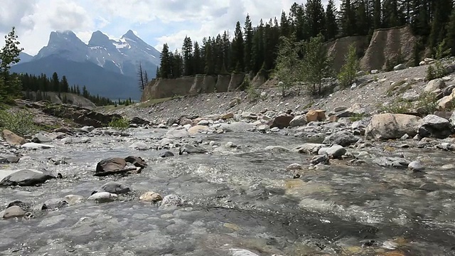 徒步旅行者跳岩石到浅滩溪的轰隆声视频素材