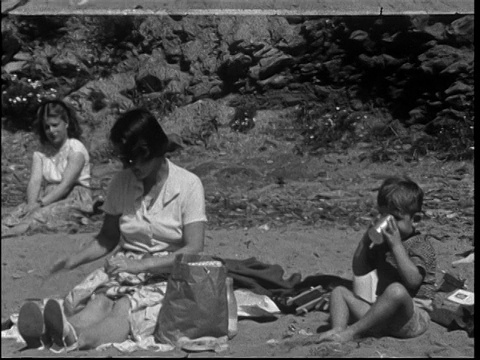 1950年代在海滩上的家庭野餐视频素材