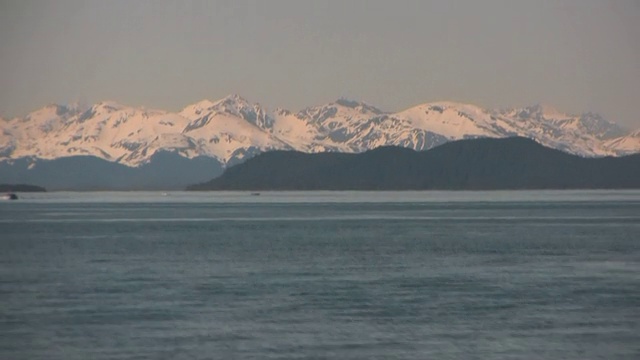 阿拉斯加座头鲸山雪太平洋冰川自然森林视频素材