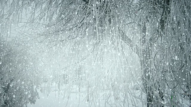 下雪视频素材