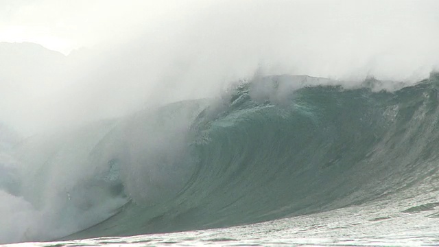 MS TS SLO MO大浪撞击/ Haleiwa，夏威夷，美国视频素材