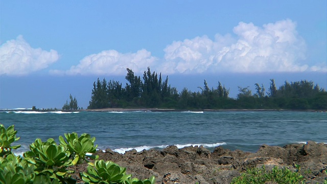 美国夏威夷Haleiwa海湾海浪撞击的MS长镜头视频素材