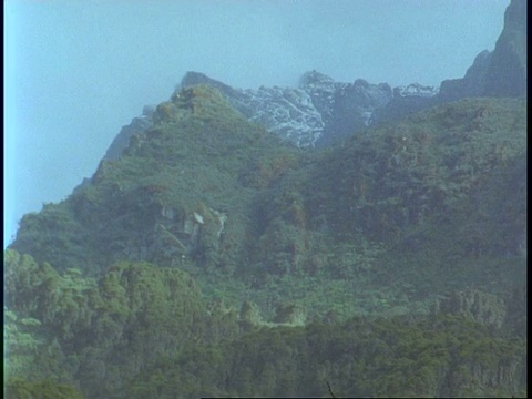 西澳风景横跨森林山脉，乌干达，非洲视频素材