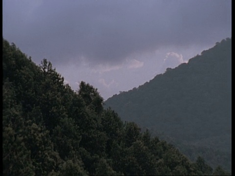 西高歇山脉，印度，西高歇山脉视频素材