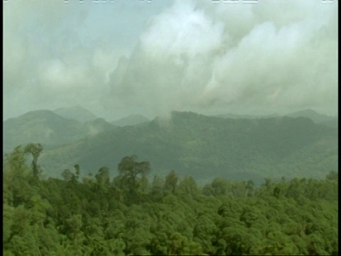 潘正越过绿色的热带雨林景观，在背景朦胧的山脉，西高歇，印度视频素材