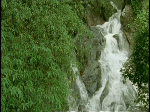 印度西高止山脉，瀑布向镜头倾斜视频素材