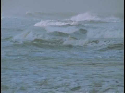 西高止山脉，印度西部，汹涌的海浪拍打着海岸线视频素材