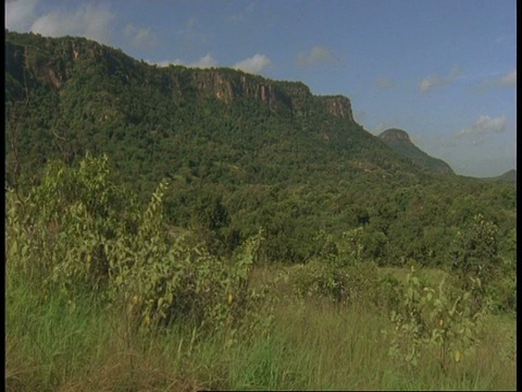 风景优美的印度丛林与山地高原的背景，班德哈瓦国家公园，印度视频素材