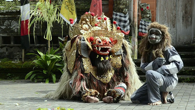 MS TS Barong和猴子舞蹈表演附近的寺庙音频/ Batubulan，巴厘岛，印度尼西亚视频素材