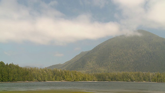 在加拿大不列颠哥伦比亚省的Clayoquot Sound / Tofino，米尔斯岛的陡峭山坡上有雾视频素材