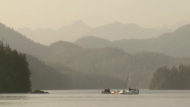 加拿大不列颠哥伦比亚省Clayoquot湾的森林山和游艇视频素材