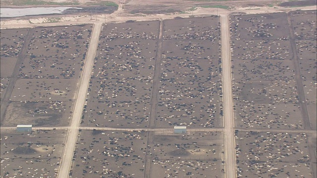 美国德克萨斯州赫里福德市以东的Bootleg牲畜围场的WS AERIAL ZO视图视频素材