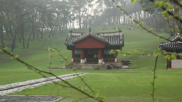 在韩国京畿道南阳州光陵的雨中视频素材