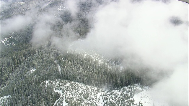 美国俄勒冈州上空云雪中的威拉米特国家森林的WS鸟瞰图视频素材