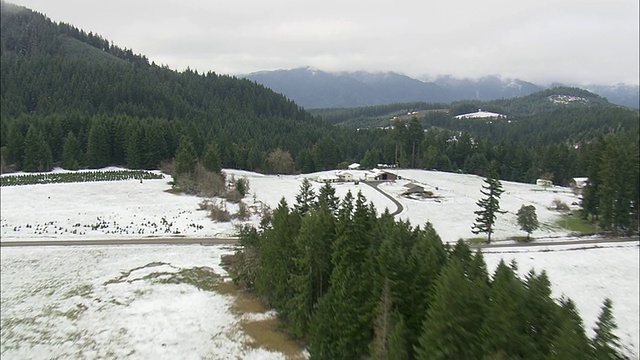 美国俄勒冈州上空云雪中的威拉米特国家森林的WS鸟瞰图视频素材