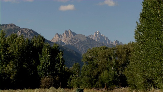 慢慢地变焦山脉，树木在前景和山脉在背景。视频素材