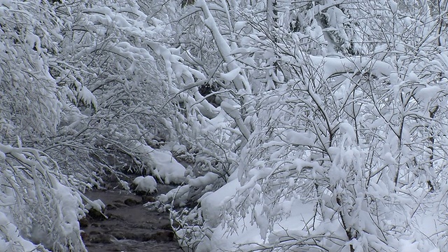 雪流2视频素材