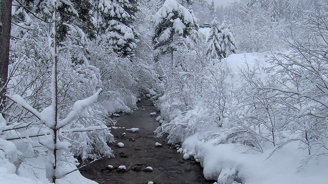 雪流3视频素材