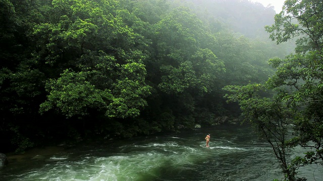 清澈的水晶水流动在热带雨林，莫斯曼峡谷，戴恩特里国家公园凯恩斯，澳大利亚昆士兰视频素材