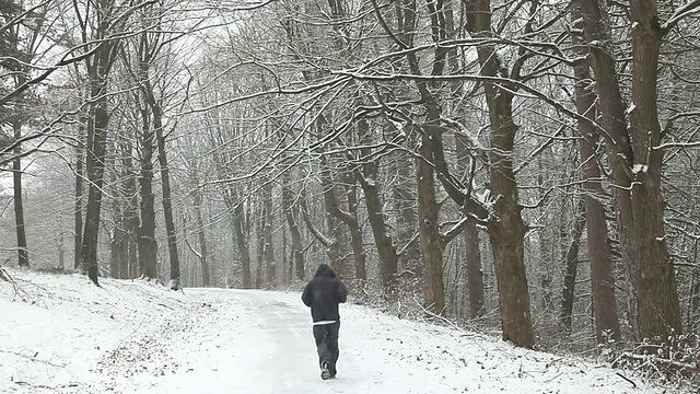 在雪地里慢跑视频素材