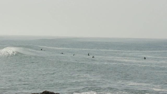 广阔的视野冲浪者在海洋视频素材