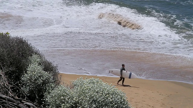 冲浪者在世界著名的冲浪胜地贝尔海滩/艾雷斯湾，澳大利亚维多利亚州走着长板的照片视频素材