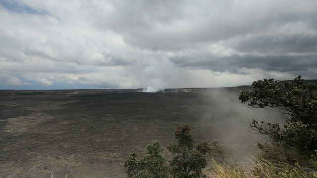 美国夏威夷的火山国家公园/火山，基拉韦厄火山口和周围树木、草地和随风飘动的蒸汽的黑色熔岩田视频素材