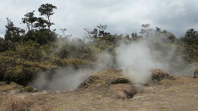 图为美国大岛夏威夷的火山国家公园，从蒸汽喷口喷出的蒸汽，随风吹过蕨类植物、灌木和土壤干燥的树木视频素材