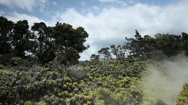 美国夏威夷的火山国家公园/火山，蒸汽从火山口喷出，吹过远处的蕨类植物、树木和灌木丛视频素材