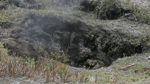 美国夏威夷，大岛，夏威夷国家公园/火山，蒸汽从火山口升起，吹过火山植物视频素材