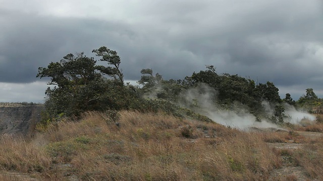 美国大岛夏威夷的火山国家公园/火山喷口，在多云的大风天，蒸汽吹过树木视频素材