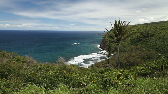 从Pololu Valley瞭望台看到的Pololu Valley和海洋，棕榈树/ Waimea，夏威夷，大岛，美国视频素材