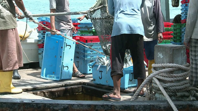 在马来西亚沙巴州的Kota Kinabalu，鱼的库存出来了视频素材