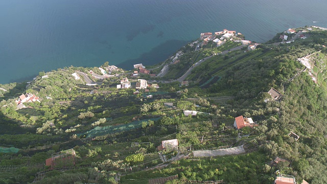 MS Shot of Terraced lemon grove and serpentine road at Amalfi coast / Ravello, Campania，意大利视频素材