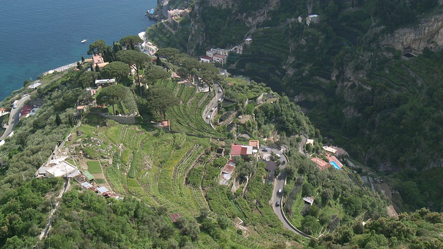 MS Shot of Terraced lemon grove and serpentine road at Amalfi coast / Ravello, Campania，意大利视频素材