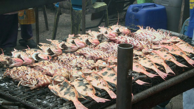 马来西亚沙巴州，Kota Kinabalu市场的烤鱼视频素材