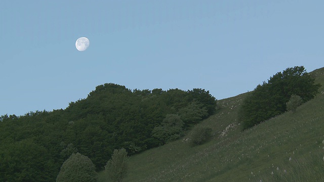 MS拍摄的早晨月亮绿色的山谷草地和山脉/ Castelluccio di Norcia，翁布里亚，意大利视频素材