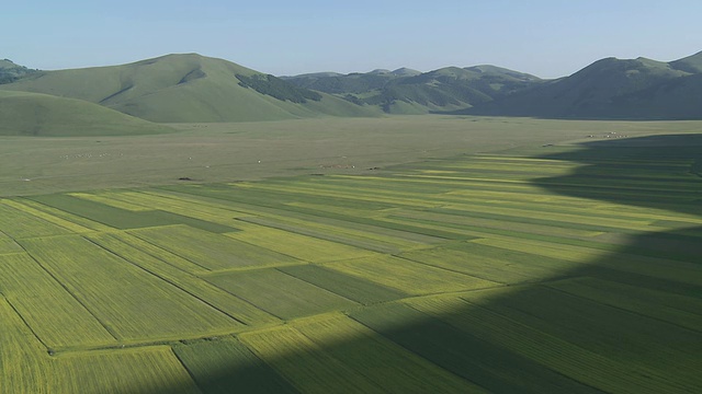 意大利翁布里亚的开花扁豆和油籽田/ Castelluccio di Norcia视频素材