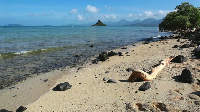 瓦胡岛迎风海岸景观视频素材