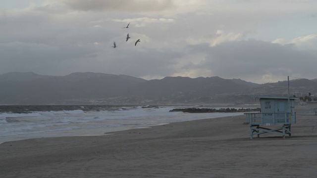 海浪滚滚而来，海鸥在上空飞翔视频素材