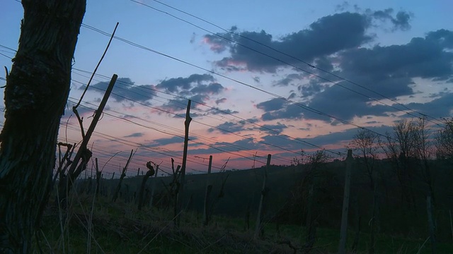 HD Motion Time-Lapse:云景葡萄园日落视频素材