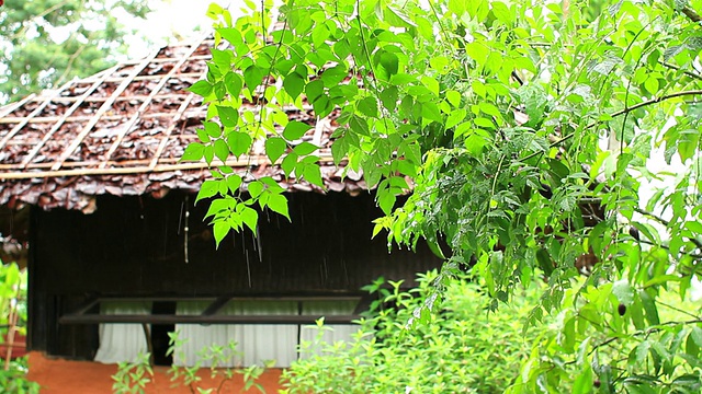 雨+小屋1视频素材