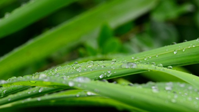 水滴视频素材