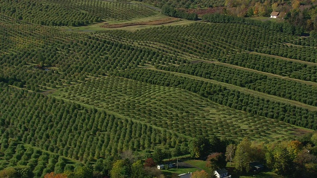 WS AERIAL ZI View of Lake Ontario海岸线with fields / New York, United States视频素材