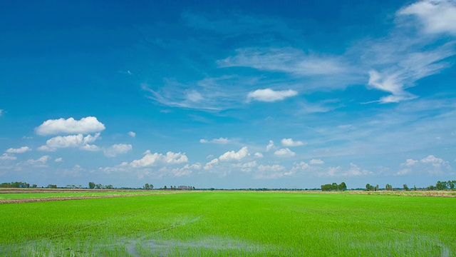 绿地视频素材